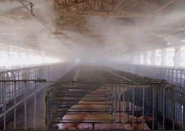 养猪厂消毒